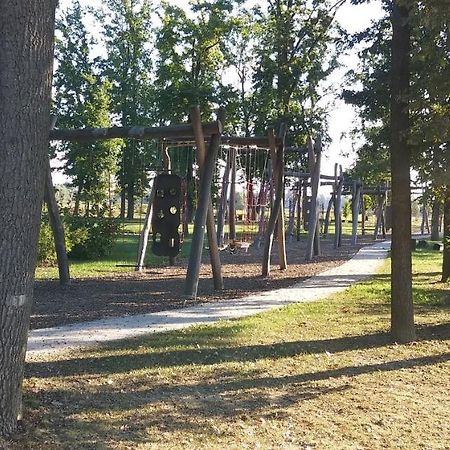 Apartma Mbm Daire Križevci pri Ljutomeru Dış mekan fotoğraf
