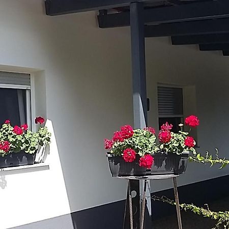 Apartma Mbm Daire Križevci pri Ljutomeru Dış mekan fotoğraf
