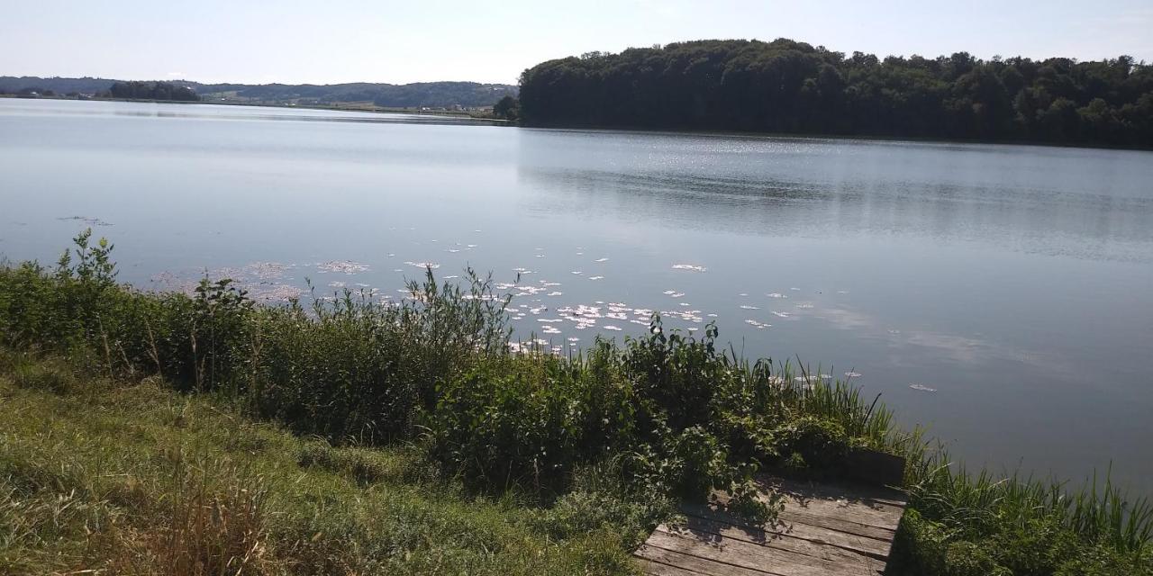 Apartma Mbm Daire Križevci pri Ljutomeru Dış mekan fotoğraf