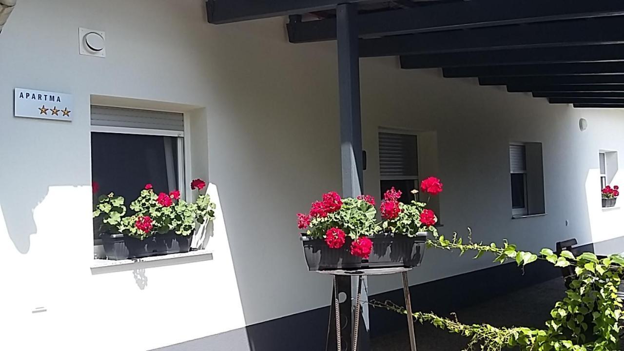 Apartma Mbm Daire Križevci pri Ljutomeru Dış mekan fotoğraf