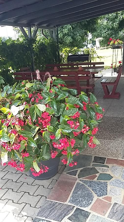 Apartma Mbm Daire Križevci pri Ljutomeru Dış mekan fotoğraf